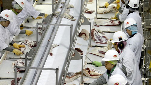 美國(guó)肉類工廠疫情危機(jī) 570人集體感染新冠，疫情期間被迫開(kāi)工的背后
